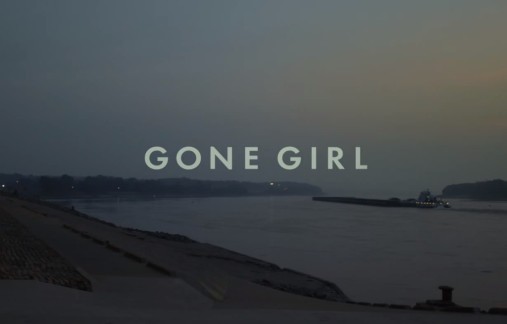 Making Gone Girl Go