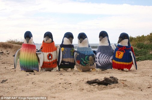 Planets or Penguins?