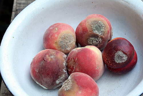 30 Things Everyone Is Actually Doing This Summer