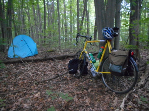 I Wish I Were Doing What You Are Doing