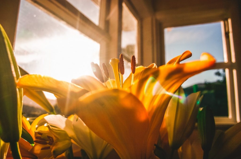 Exposure: Experiments in a Confessional Instagram