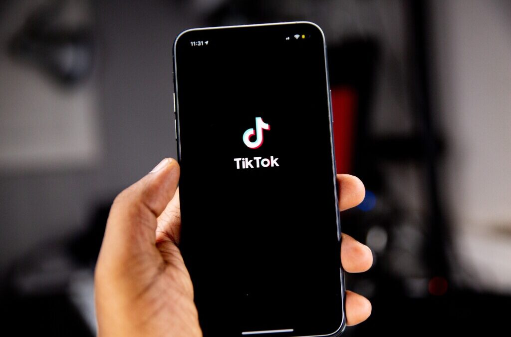 Twin Babies and Workplace Anxiety: A Guide to My Favorite TikTok Creators