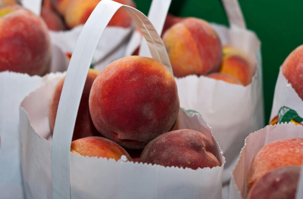 Peach Season