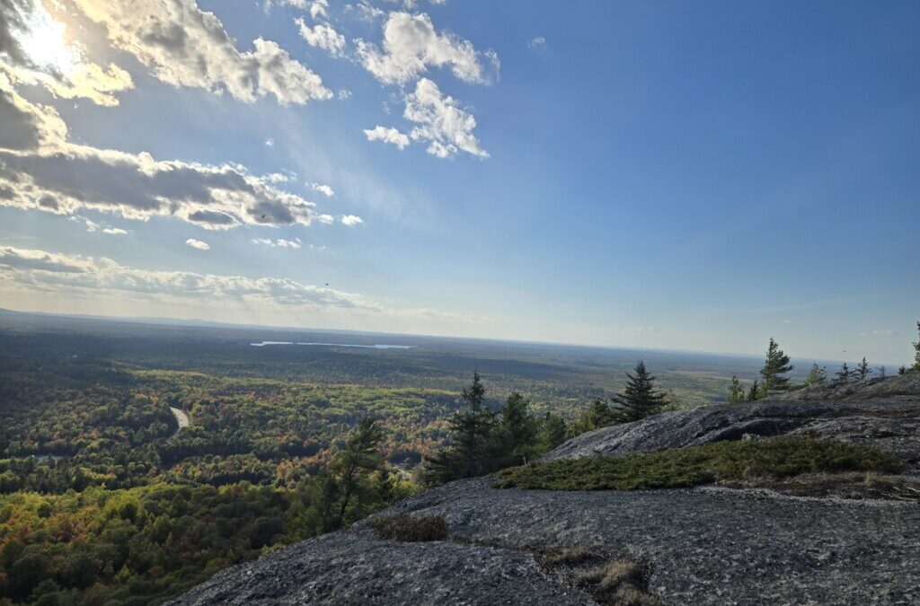 Memories of Mosquitoes and Maine