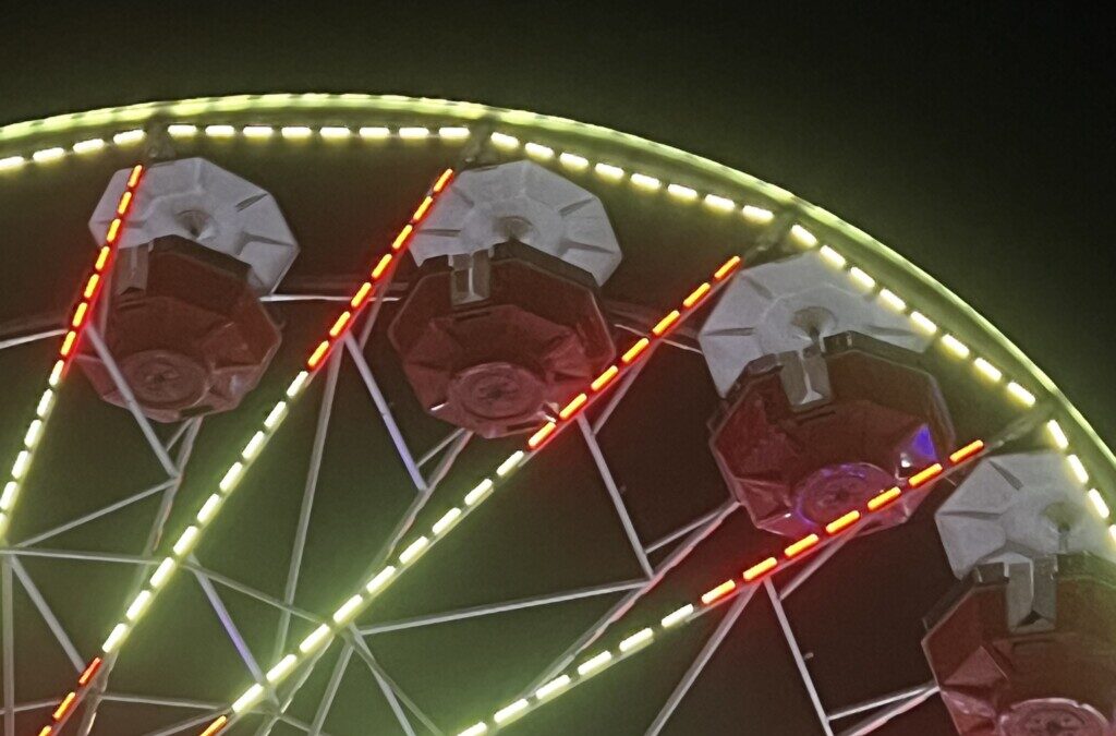 Collective Joy at the State Fair