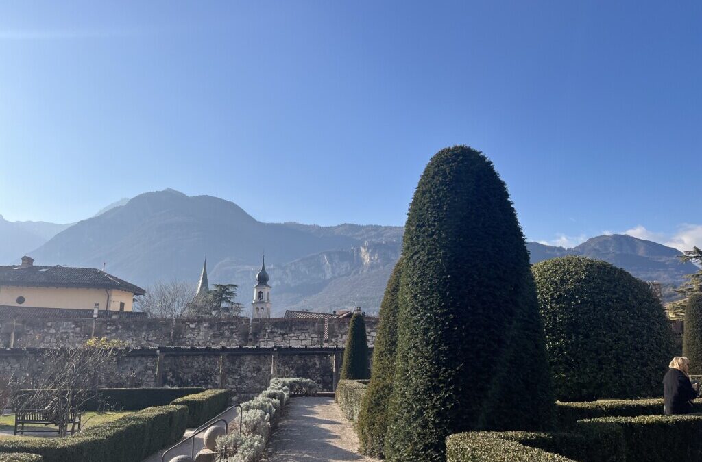 An Unconventional Birthday Celebration