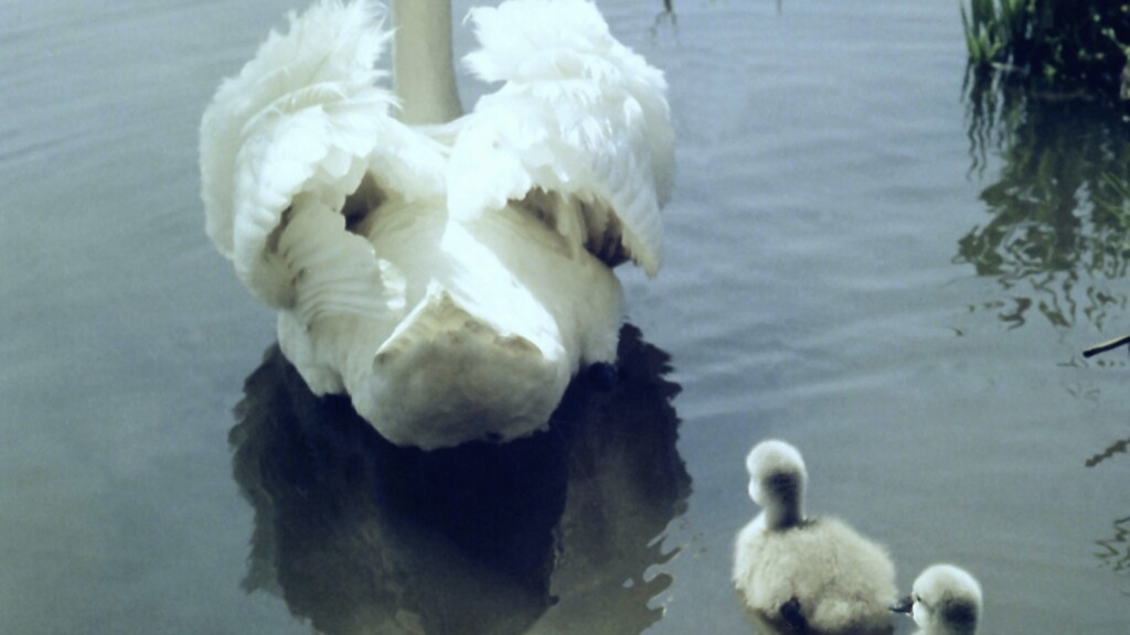 I Was Wrong About My Mom