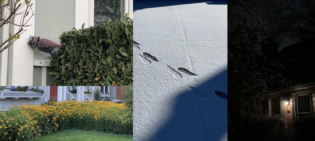 Romanticizing My Commute